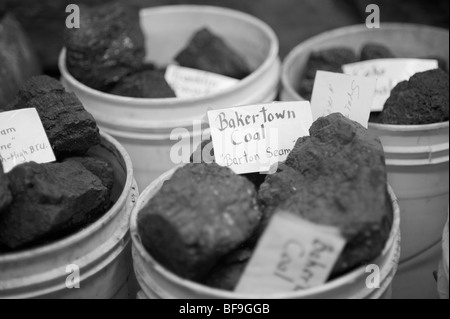 Le charbon - Jack Ayers de Barton MD possède son propre musée de la mine de charbon et à son domicile. Banque D'Images