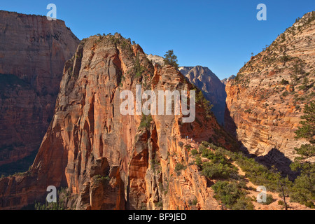 Angels Landing Trail West Rim vu de Scouts au Lookout, Zion National Park, Utah, USA Banque D'Images