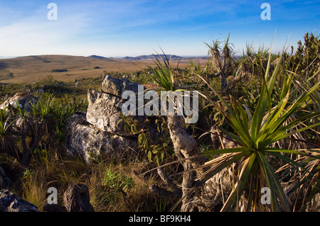 Le parc national Serra da Canastra, Minas Gerais, Brésil Banque D'Images