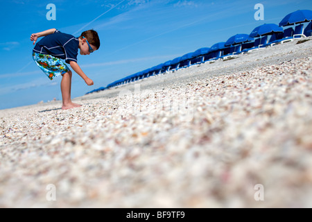 Des coquillages sur la plage de Clearwater, Floride Banque D'Images