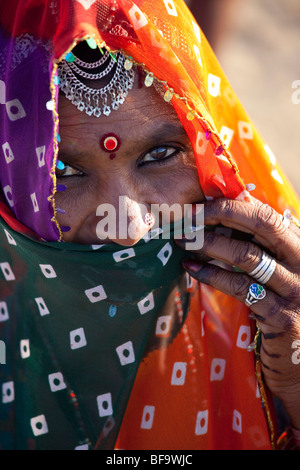 Femme Rajput de l'Inde Pushkar Fair à chameau Banque D'Images