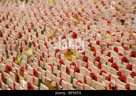 Des milliers de croix et coquelicots dans le jardin du souvenir à l'abbaye de Westminster honorant ceux tués durant la première guerre mondiale et Banque D'Images