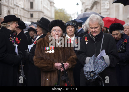 Les veuves de guerre et les amis réunis wearin leurs médailles au cénotaphe de la loi annuelle du souvenir des victimes de la guerre Banque D'Images