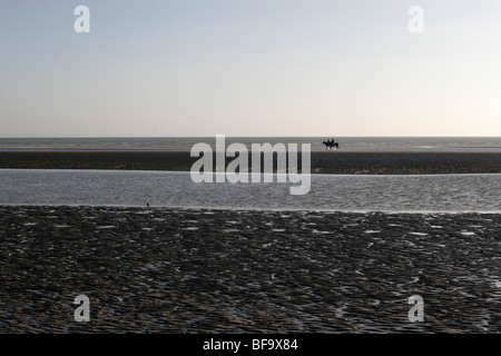 Soleil d'hiver sur la plage anglaise. Dunes de sable Banque D'Images