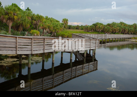 Passerelles surélevées, Caye verte Zones Humides, Boynton Beach, Floride, USA Banque D'Images