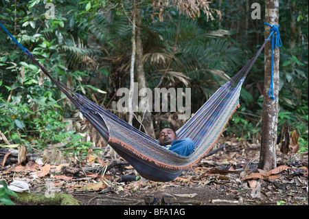 Man resting in hammock (atta) près de Atta Iwokrama Rainforest lodge bouclier de Guyane Guyane Amérique du Sud Octobre Banque D'Images