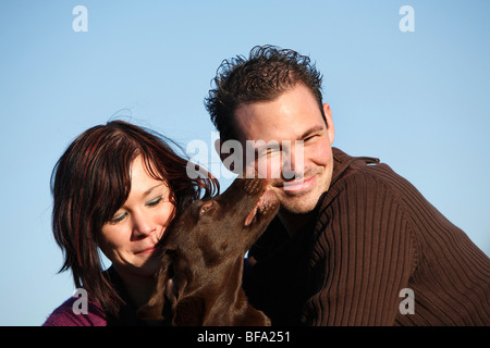 Dog (Canis lupus f. familiaris), Labrador mélanger avec ses propriétaires, lissing le visage de l'homme, Allemagne Banque D'Images