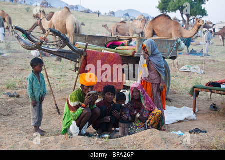 À la famille Rajput pauvres juste chameau à Pushkar Inde Banque D'Images