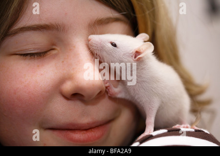 Plaqués Rat, rat surmulot (Rattus norvegicus, Rattus norvegicus domesticus domestica), six semaines assis sur un animal girl's shou Banque D'Images