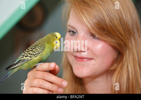 Perruche ondulée, perruche, perruche (Melopsittacus undulatus), oiseau vert assis sur une jeune fille qui l'index Banque D'Images