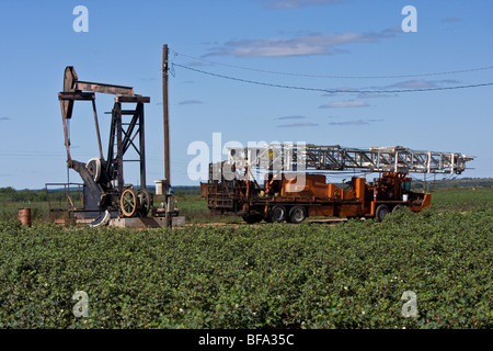 Pompe de puits de pétrole avec de l'huile dans un camion de champ de coton dans le Texas Panhandle. Banque D'Images