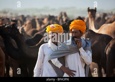 Des hommes et des chameaux à Rajput le chameau juste à Pushkar Inde Banque D'Images