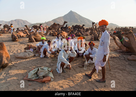Des hommes et des chameaux à Rajput le chameau juste à Pushkar Inde Banque D'Images