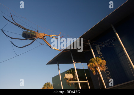 Museum of Tropical Queensland, Townsville, Queensland, Australie. Pas de PR Banque D'Images