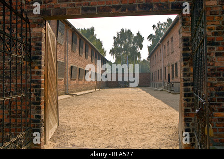 Le Camp de la mort nazi à Auschwitz Banque D'Images
