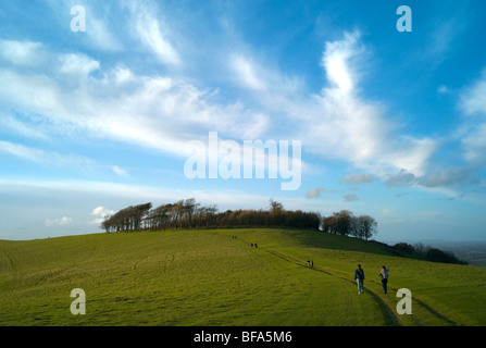 L'Âge du Fer à Chanctonbury Ring sur les South Downs dans le Sussex UK Banque D'Images