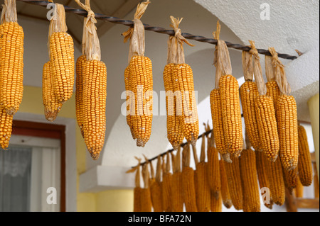 Le séchage du maïs à l'extérieur d'une ferme à Morbish - am - voir, Lac, Autriche Banque D'Images