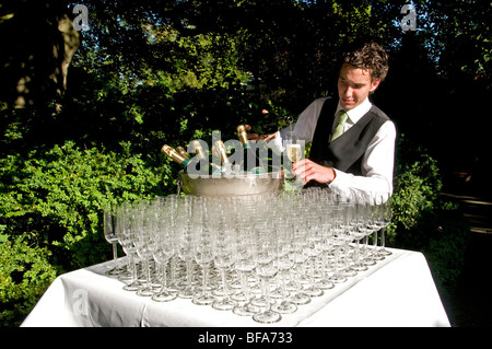 Verres champagne party hôtellerie jardin glas Banque D'Images