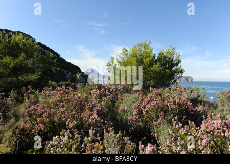 Vue depuis la Prim de Montgo et Cabo San Antonio , Javea / Xabia, Province d'Alicante, Communauté Valencienne, Espagne Banque D'Images