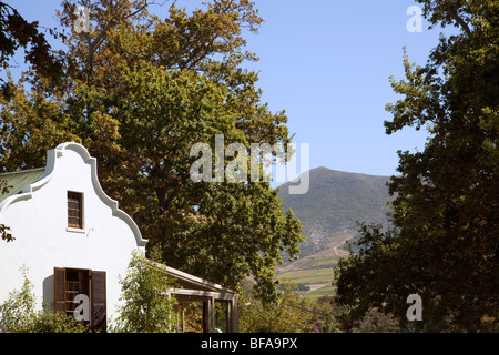 Un bâtiment colonial se trouve au cœur d'un vignoble dans la région de Constantia d'Afrique du Sud, près de Cape Town Banque D'Images