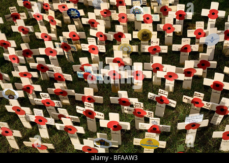 Le Jour du souvenir traverse et coquelicots Banque D'Images