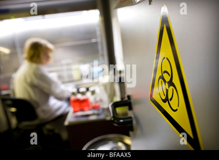 Assistant de laboratoire dans une main-d'œuvre pour les diagnostics cliniques de virus de l'influenza à Robert Koch-Institute . Berlin , Allemagne Banque D'Images