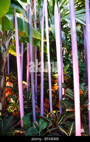 Chihuly à Franklin Park Conservatory Banque D'Images