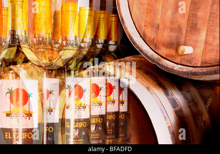 Image composite de tonneaux de vin et les bouteilles de vins produits localement dans la région de La Geria sur Lanzarote dans les îles canaries Banque D'Images