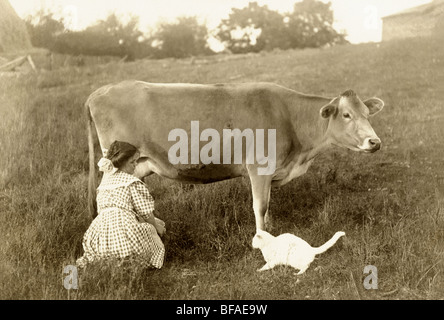 Girl vache de la traite dans les pâturages & Nourriture Chat Banque D'Images