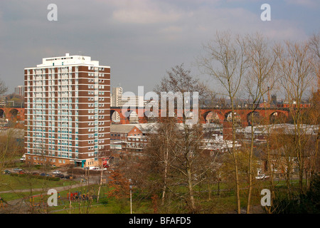 Royaume-uni, Angleterre, Stockport, Cheshire, viaduc de chemin de fer, la plus grande structure en brique, de Hollywood Park Banque D'Images