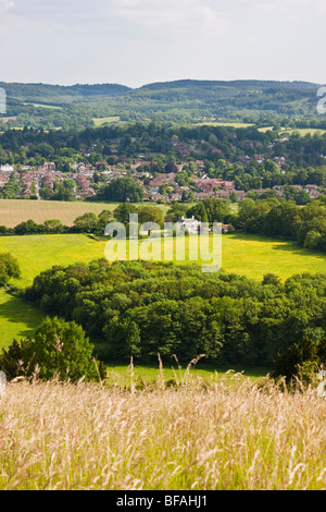 Avis de Leith Hill de Ranmore Common dans les North Downs en été Banque D'Images