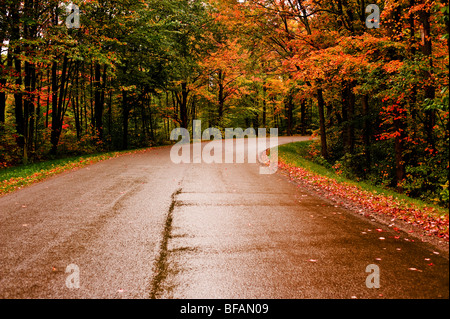 Pays en voie humide les feuilles d'automne Banque D'Images