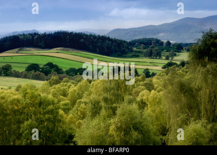 Scène rurale de collines et de forêts près de Dunkeld, Perthshire en Ecosse Banque D'Images