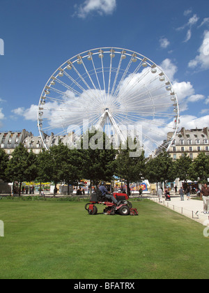 Attractions touristiques de Tuilleries jardin,grande roue, Paris,France Banque D'Images