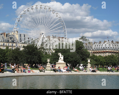 Attractions touristiques de Tuilleries jardin,grande roue, Paris,France Banque D'Images