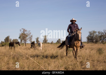 Home Valley Station stockman rassemblement autochtone à cheval dans l'ouest de l'Australie Kimberley la Gibb River Road en Australie Banque D'Images