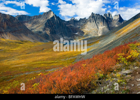 La vallée du ruisseau Grizzly toundra afficher en plein automne couleur Le parc territorial Tombstone, Yukon Canada Banque D'Images