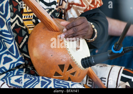 Banjo gourd de l'Afrique de l'Ouest Banque D'Images