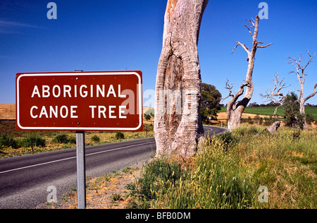 Canoë autochtone arbre, Australie Banque D'Images