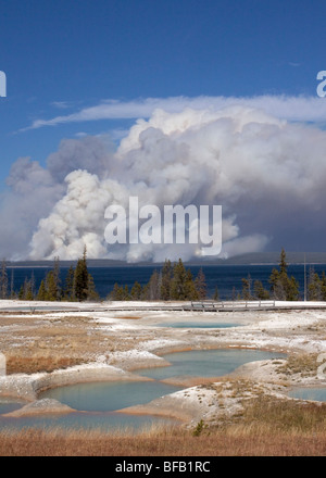 La fumée des incendies de forêt vu de geyser basin, Yellowstone Banque D'Images