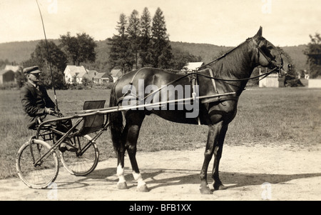 Sulky Jockey & Panier avec cheval de course Banque D'Images