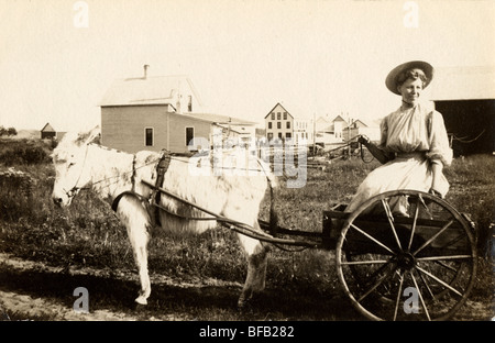 Jeune femme Mule conduite appelée sulky Panier Banque D'Images