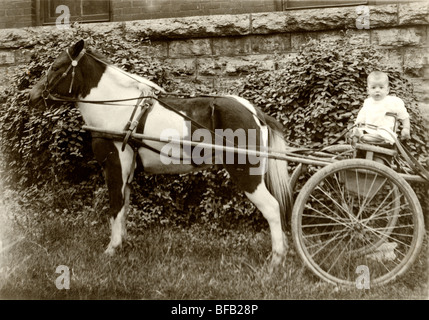 Bébé Poney conduite appelée sulky Panier Banque D'Images