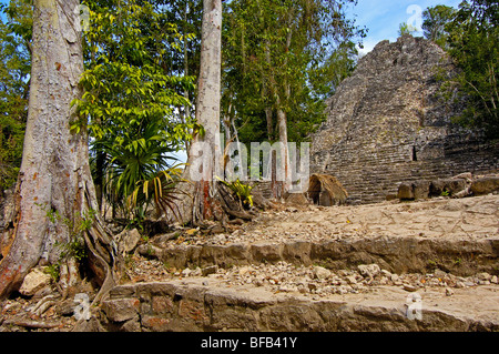 Iglesia la ruine et la stèle. Ruines Maya de Coba, Caribe. L'état de Quintana Roo. Riviera Maya. Péninsule du Yucatan. Le Mexique Banque D'Images