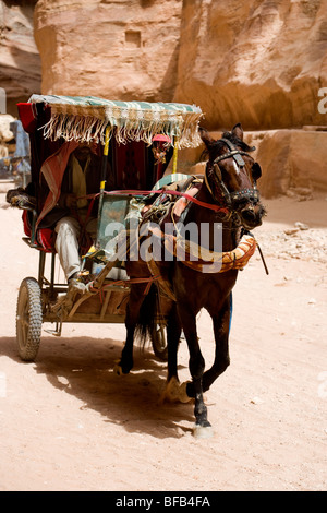 La calèche, le siq, Petra, Jordanie Banque D'Images