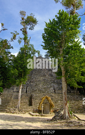 Iglesia ruine et stela . Ruines Maya de Coba, Caribe. L'état de Quintana Roo. Riviera Maya. Péninsule du Yucatan. Le Mexique Banque D'Images