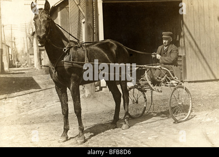 Homme plus âgé au volant Cheval Sulky Panier Banque D'Images