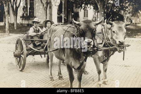 Deux garçons & Cow Driven Two-Wheeled Panier Banque D'Images