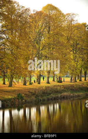 Couleurs d'automne à Builth Wells : la ligne des arbres à feuilles caduques la Wye Valley walk, après-midi d'automne, le Pays de Galles UK Banque D'Images