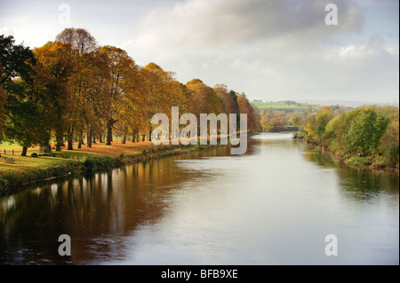 Couleurs d'automne à Builth Wells : la ligne des arbres à feuilles caduques la Wye Valley walk, après-midi d'automne, le Pays de Galles UK Banque D'Images